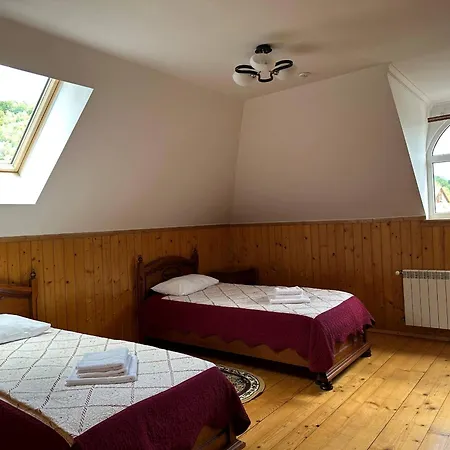 токай 라키브